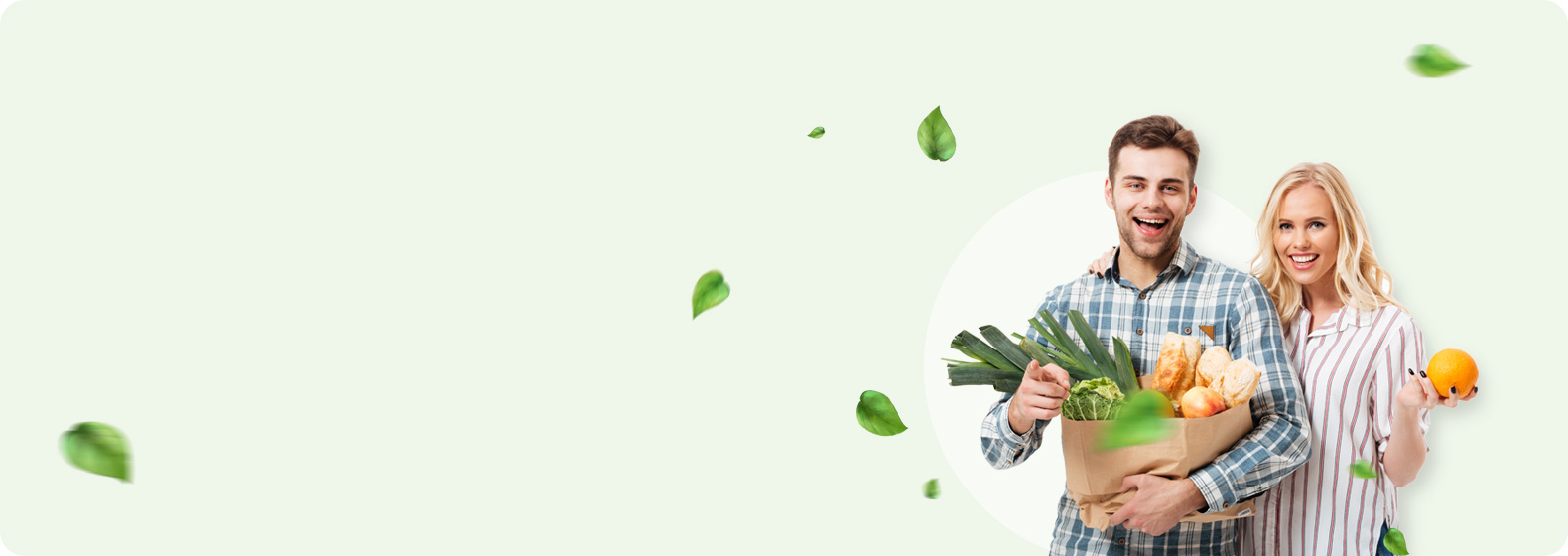 organic5-slider11.jpg